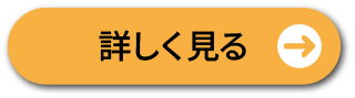 詳しく見る