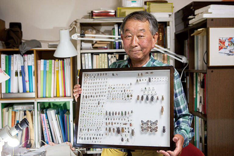 岩手県に生息する虫の記録をまとめて県立博物館に寄贈する予定