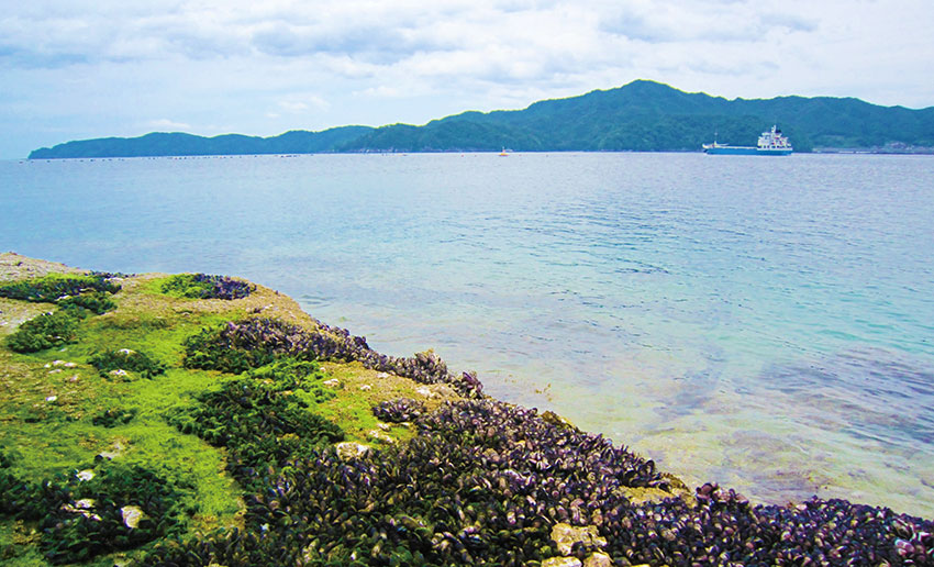 箱崎半島