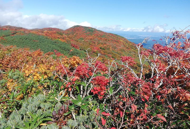 西和賀町 高下岳