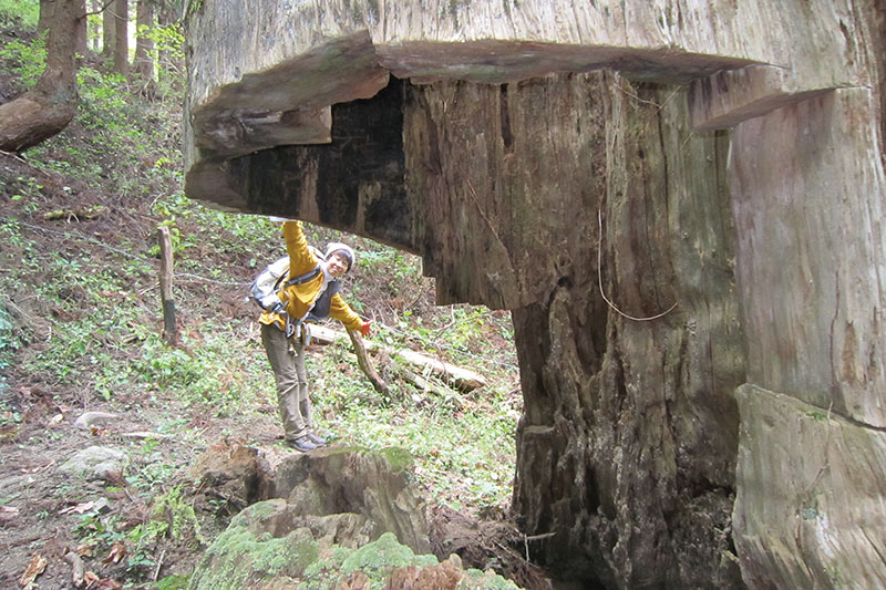 黒森山　盛岡市と紫波郡紫波町の境　写真